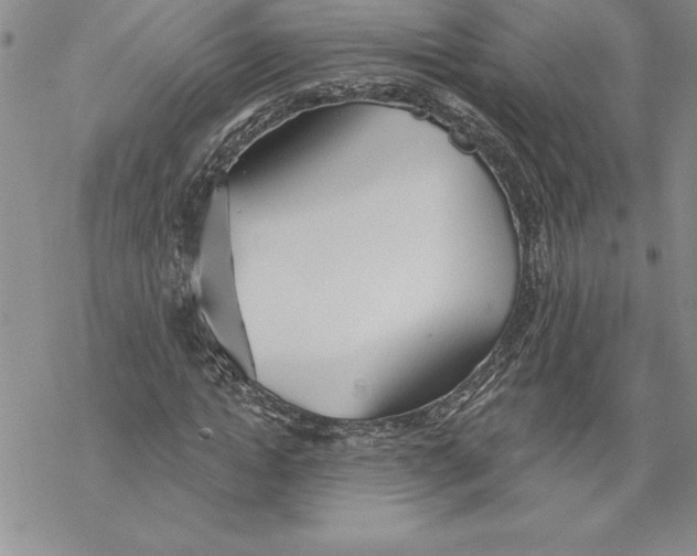 X0000069380822200606021604