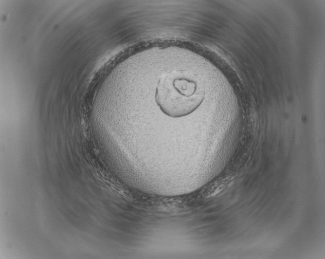 X0000069380823200606021604