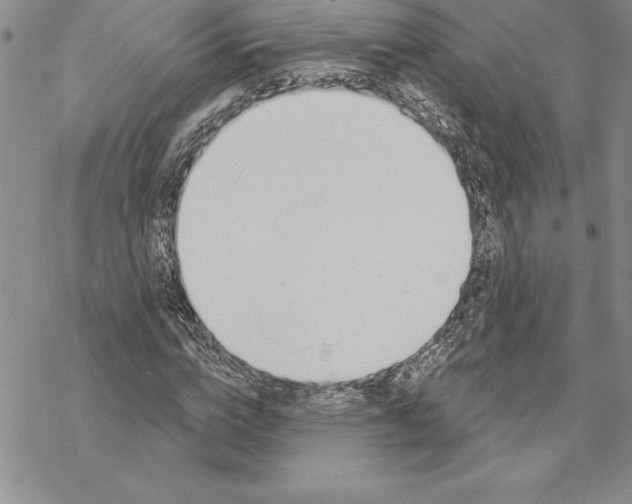 X0000069380824200606021604