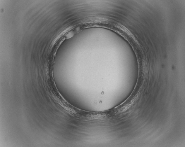 X0000069380826200606021604