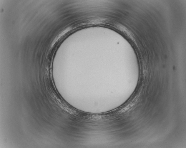 X0000069380827200606021604