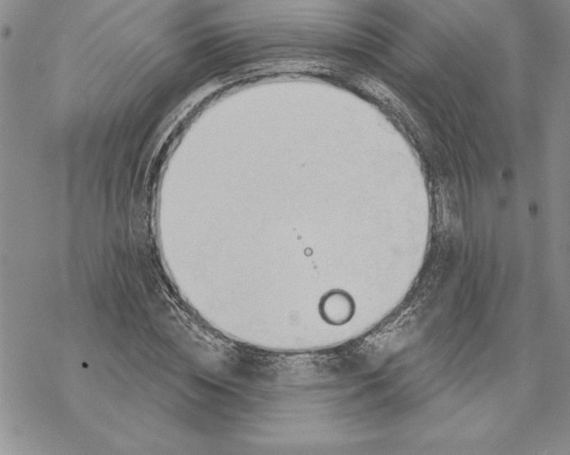 X0000069380828200606021604