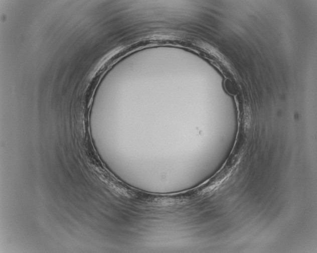 X0000069380829200606021604