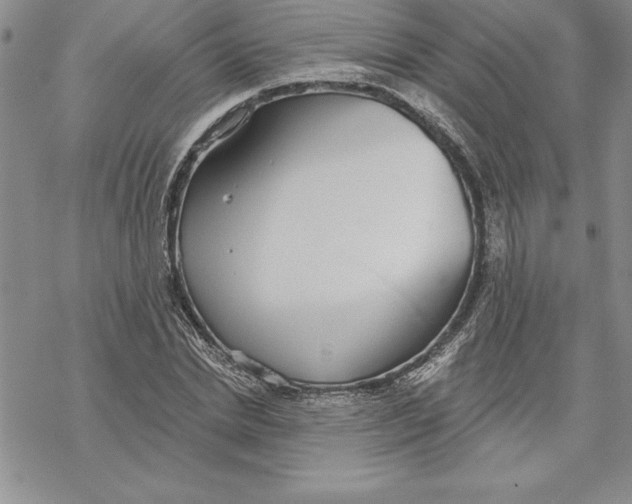 X0000069380830200606021605