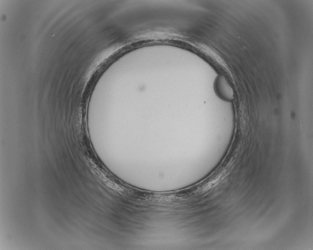 X0000069380831200606021605