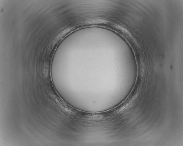 X0000069380833200606021605