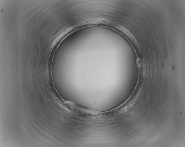 X0000069380834200606021605