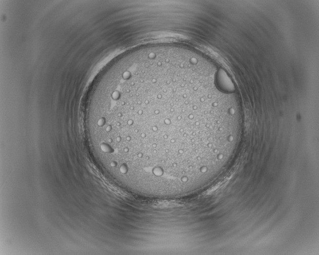 X0000069380835200606021605