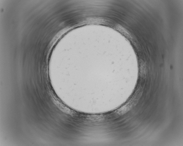 X0000069380836200606021605