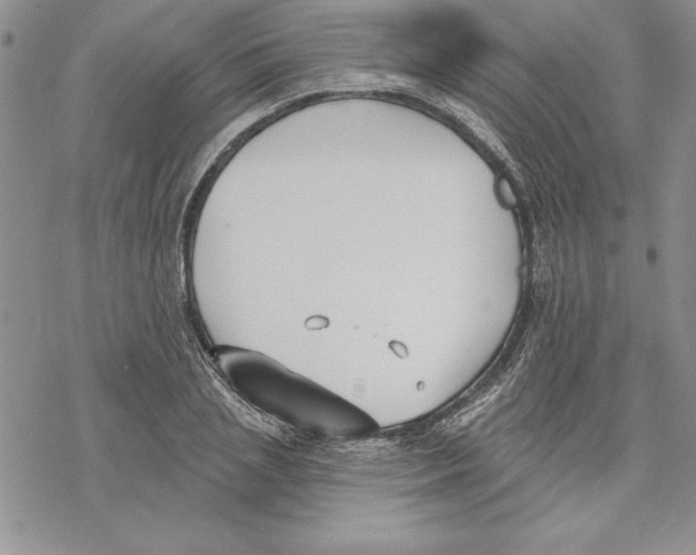 X0000069380837200606021605