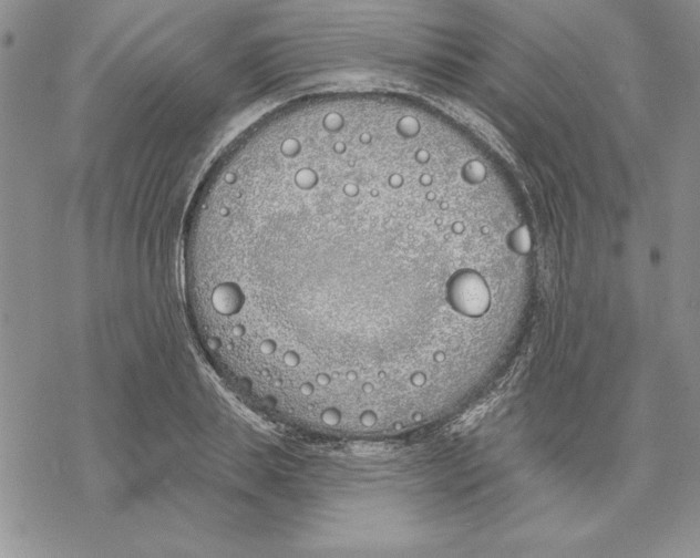 X0000069380839200606021605