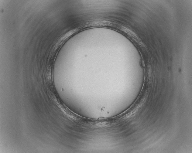 X0000069380841200606021605