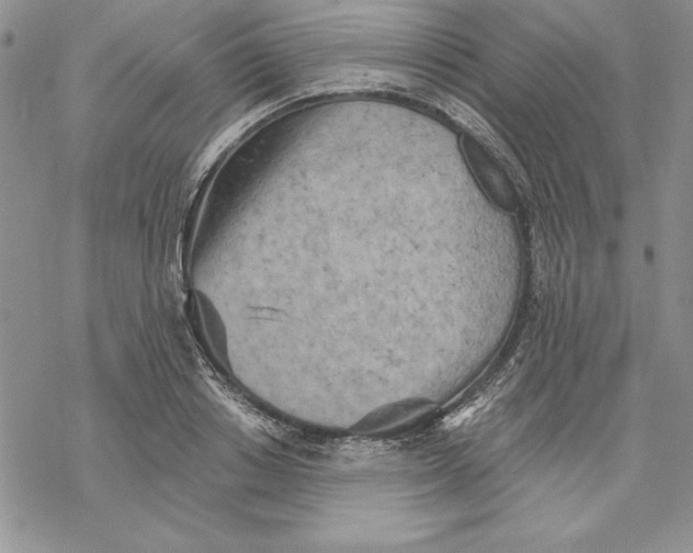 X0000069380842200606021605