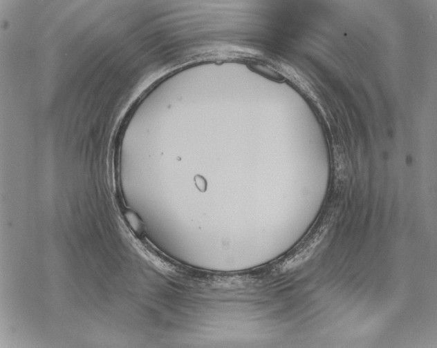 X0000069380843200606021605