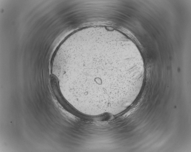 X0000069380844200606021605