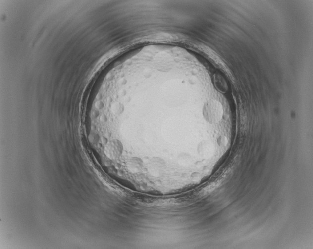 X0000069380845200606021605