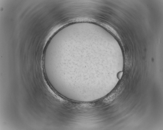 X0000069380847200606021605