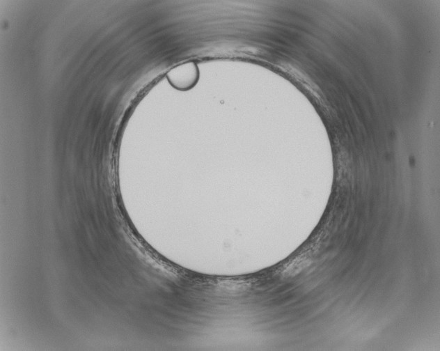 X0000069380848200606021605