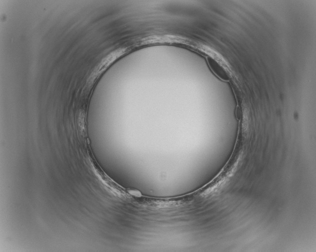 X0000069380849200606021605