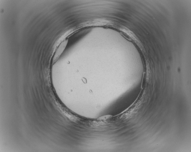 X0000069380850200606021605