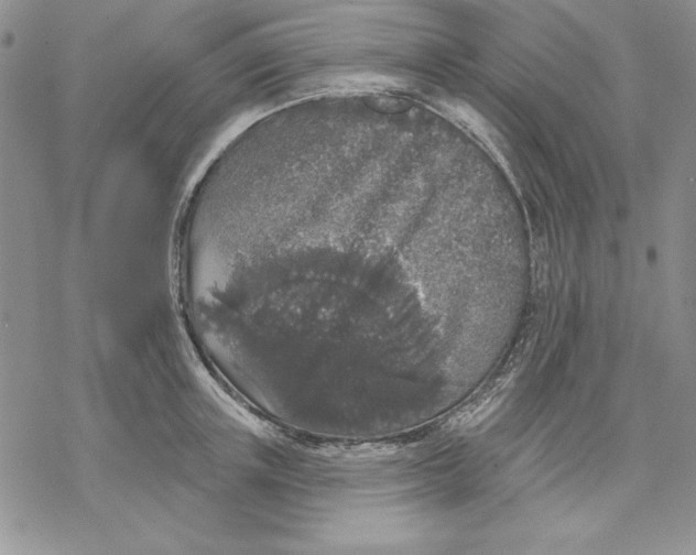 X0000069380851200606021605