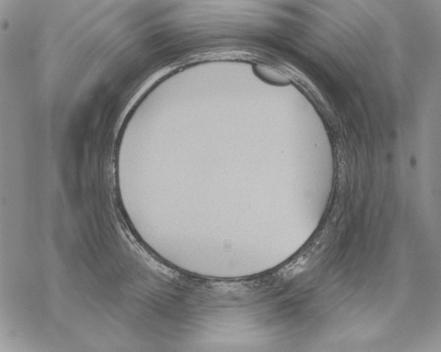 X0000069380852200606021605