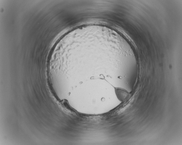 X0000069380853200606021605