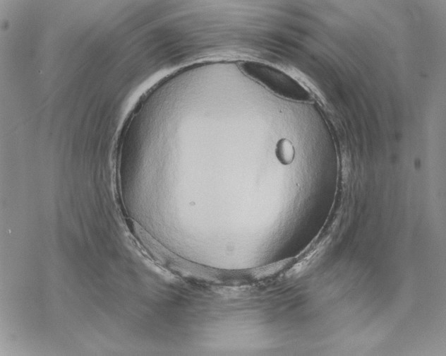 X0000069380854200606021605