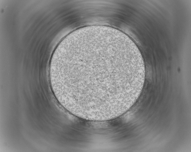 X0000069380856200606021605