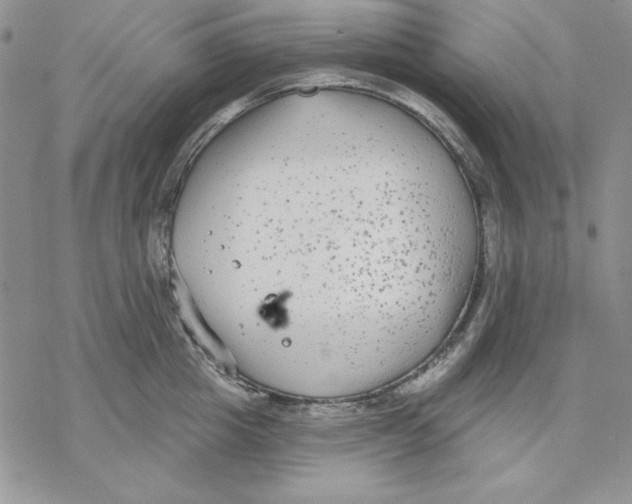 X0000069380857200606021605