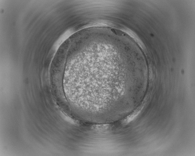 X0000069380858200606021605