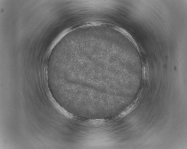 X0000069380859200606021605