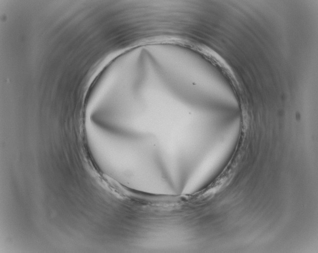 X0000069380860200606021605