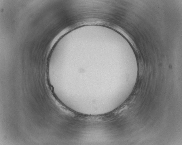 X0000069380861200606021605