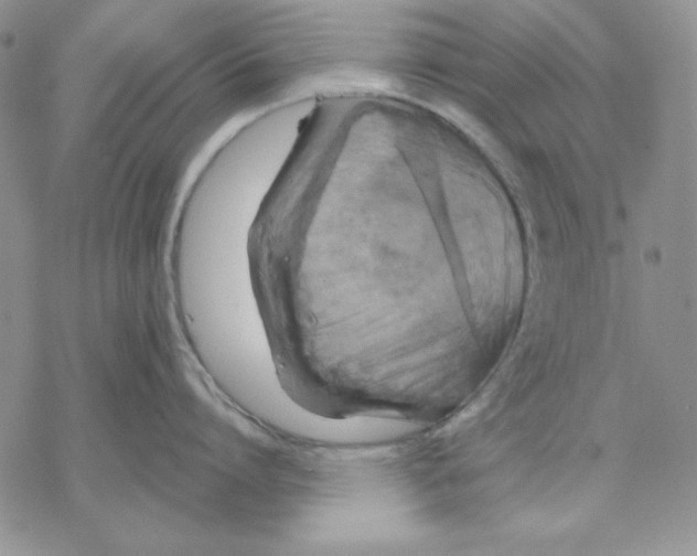 X0000069380864200606021605