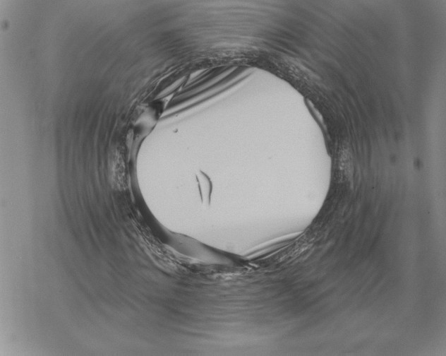 X0000069380868200606021604