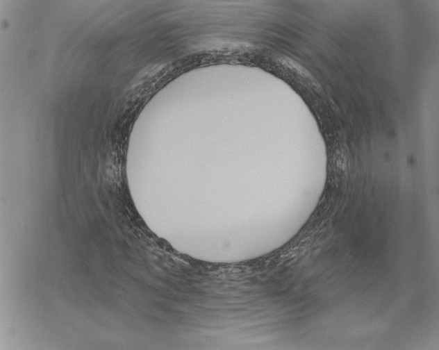 X0000069380869200606021604