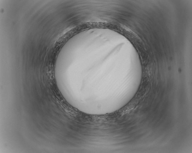 X0000069380870200606021604