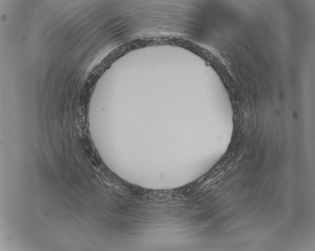 X0000069380871200606021604