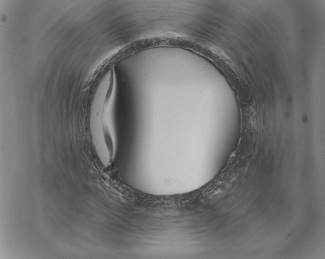 X0000069380872200606021604