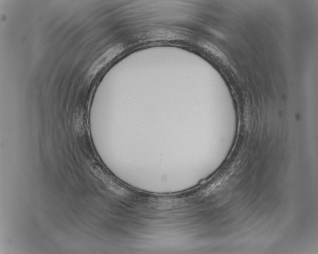 X0000069380873200606021604