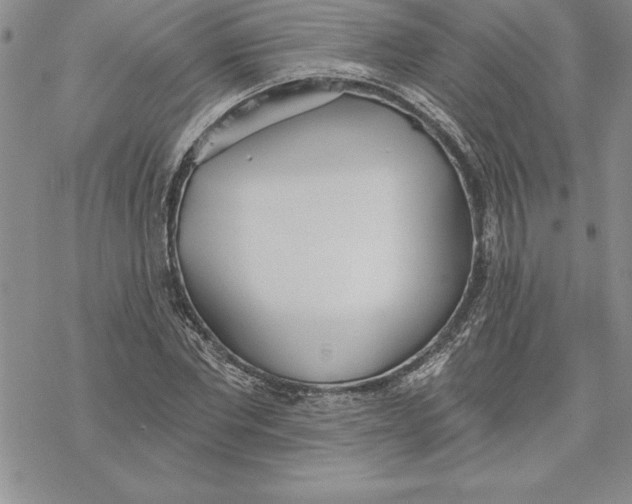 X0000069380877200606021604