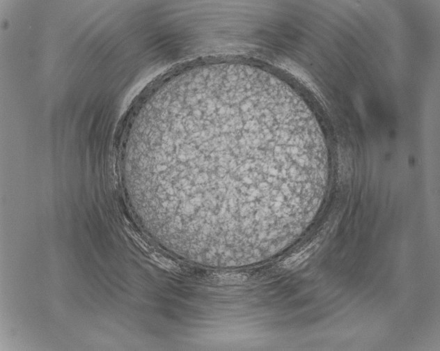 X0000069380878200606021604