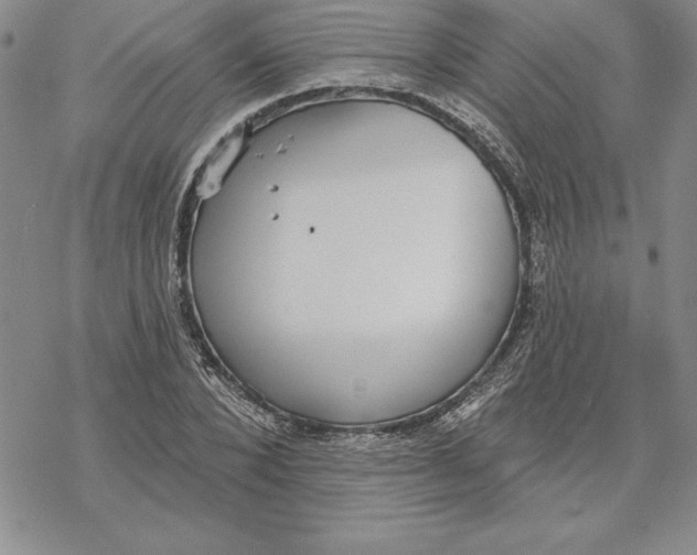 X0000069380880200606021604