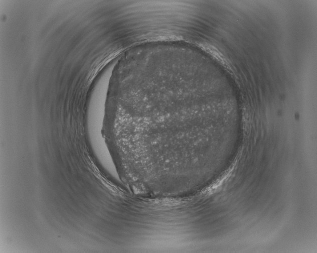 X0000069380881200606021604