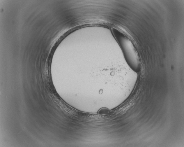 X0000069380883200606021604