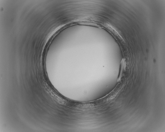 X0000069380884200606021604