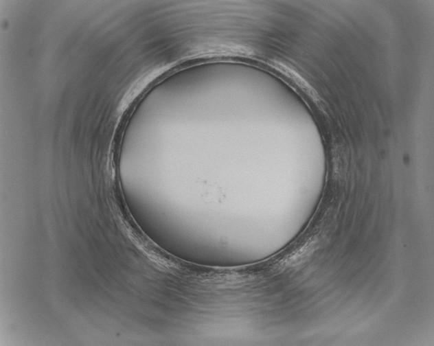 X0000069380885200606021604