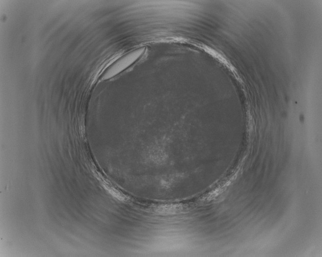 X0000069380889200606021604