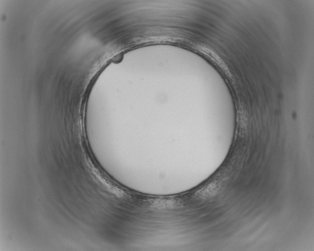 X0000069380890200606021604